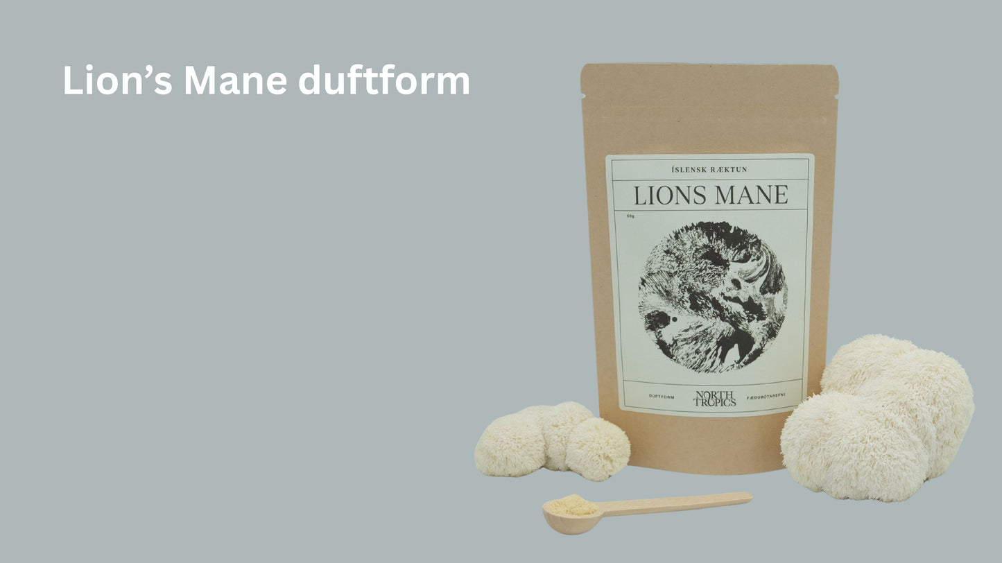 Lion’s Mane duftform