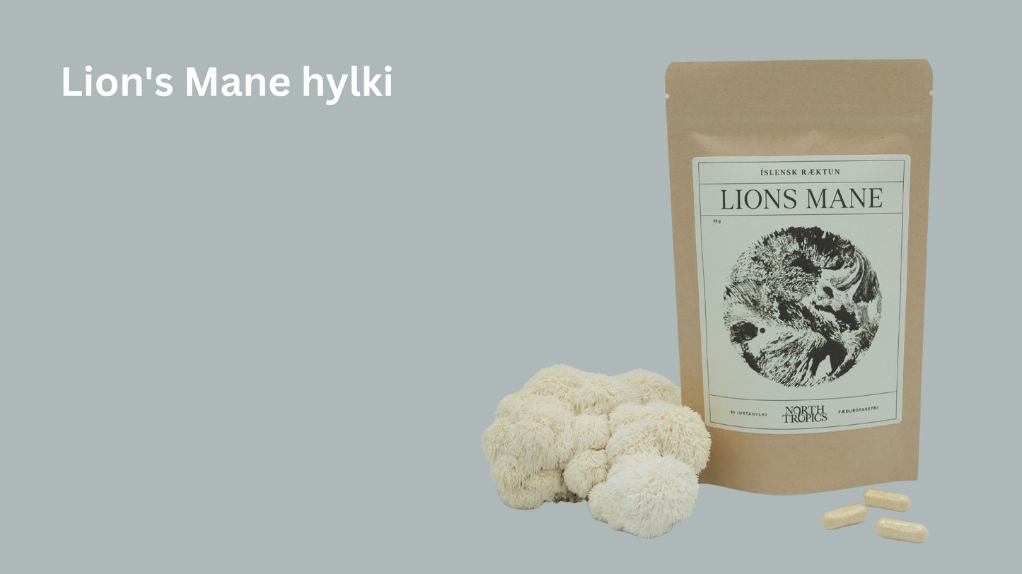 Lion's Mane hylki