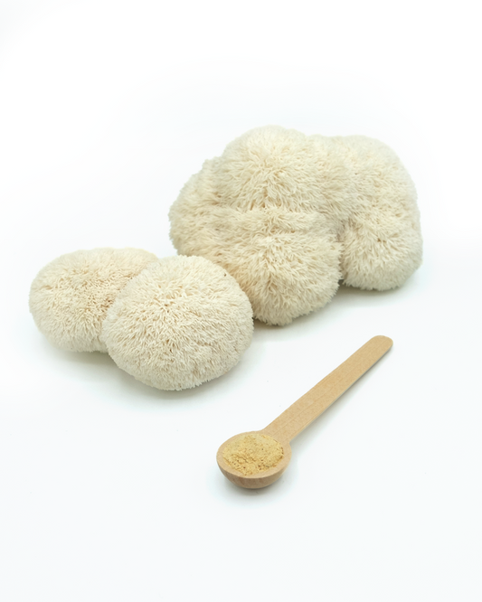 Lion’s Mane duftform
