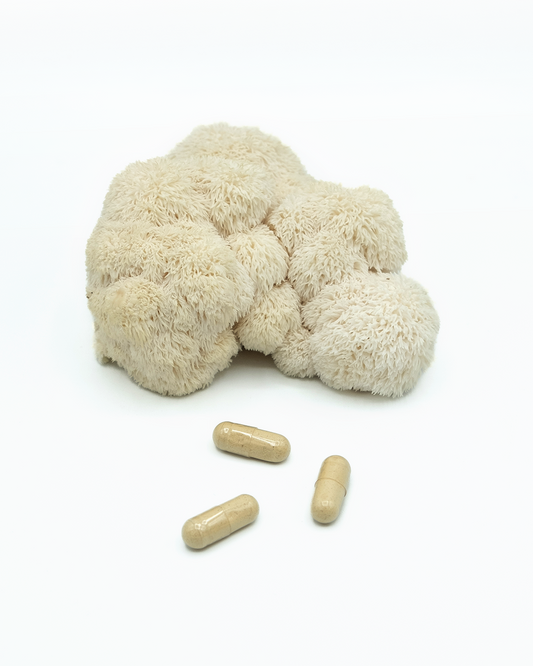 Lion's Mane hylki
