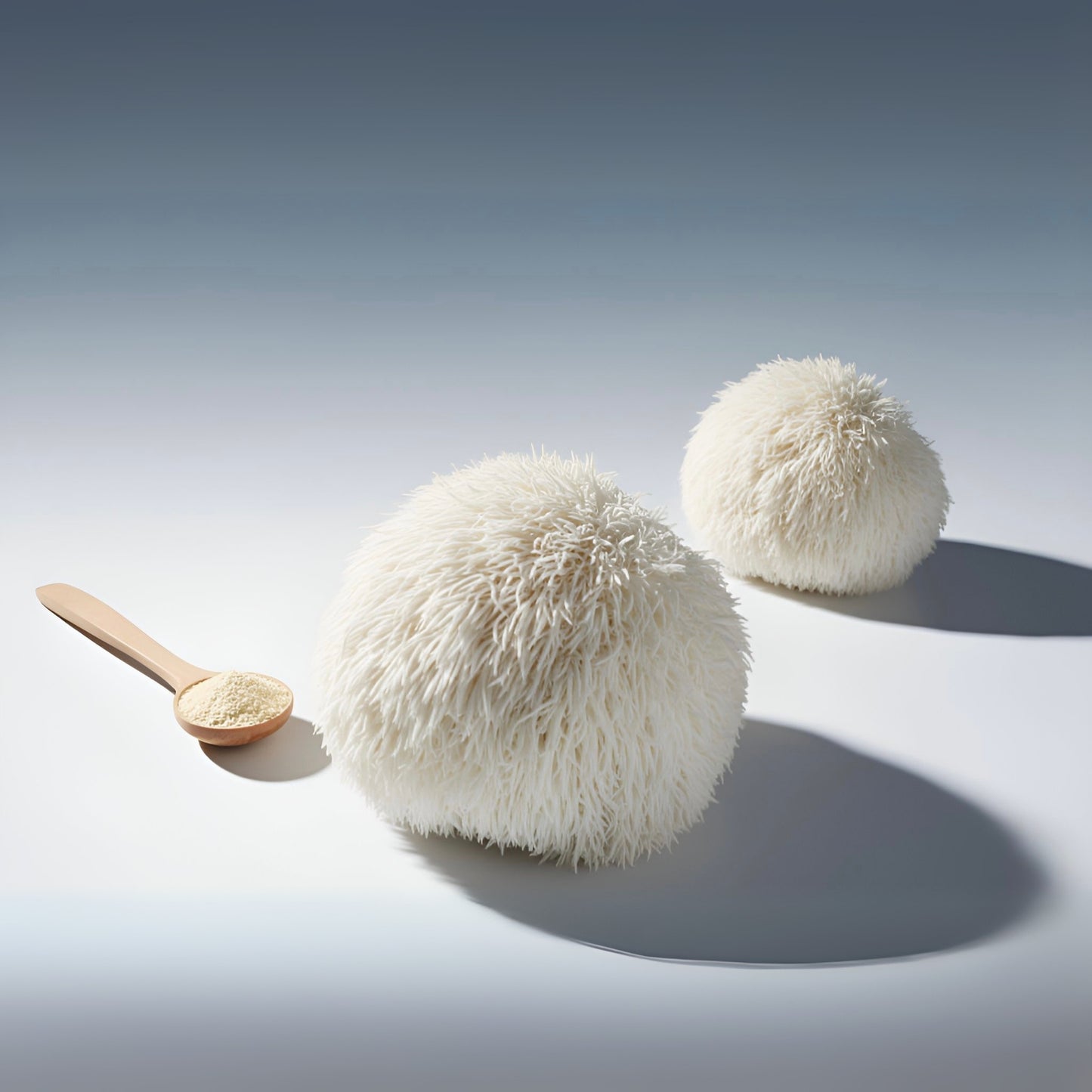 Lion’s Mane duftform